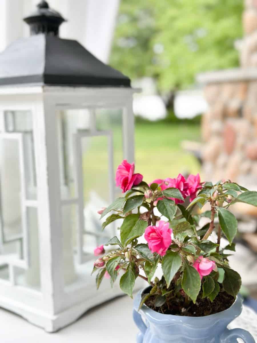 photo of a white vintage candle lamp and a double impatient plant