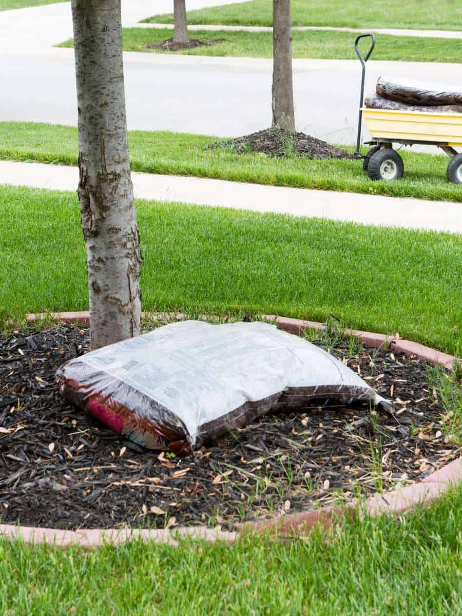 Mulch-6