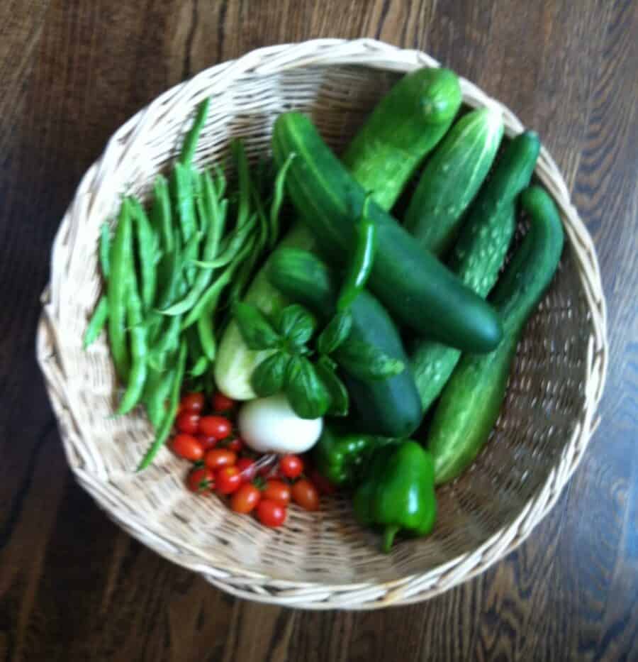 fresh veggies from my garden including beans, tomatoes, peppers and cucumbers for my cucumber salad.