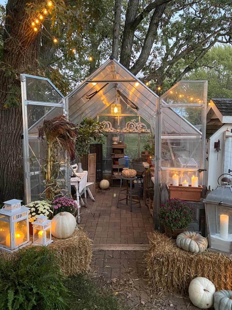 Our greenhouse decked out with pumpkins and straw bales for the fall