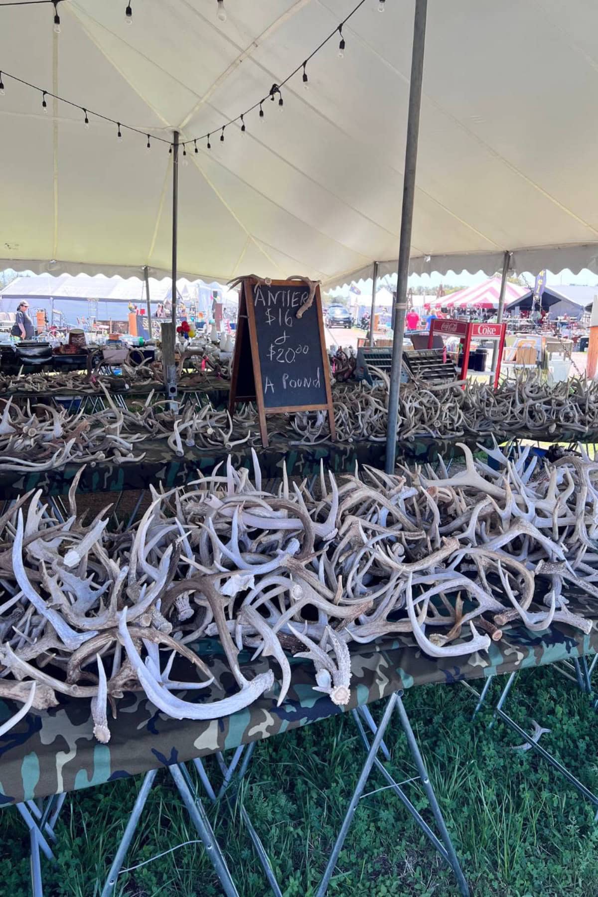 Rows of deer antlers are displayed on tables under a large white tent at the Round Top outdoor market. A chalkboard sign reads "Antler $16, $20.00 a pound." Other tents and people are visible in the background.