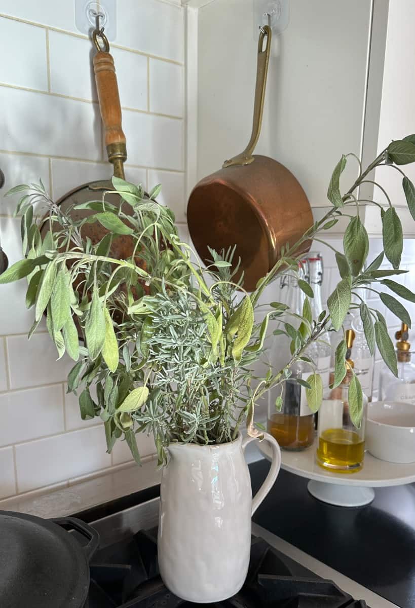a vase with hardy herbs harvested for Thanksgiving dinner
