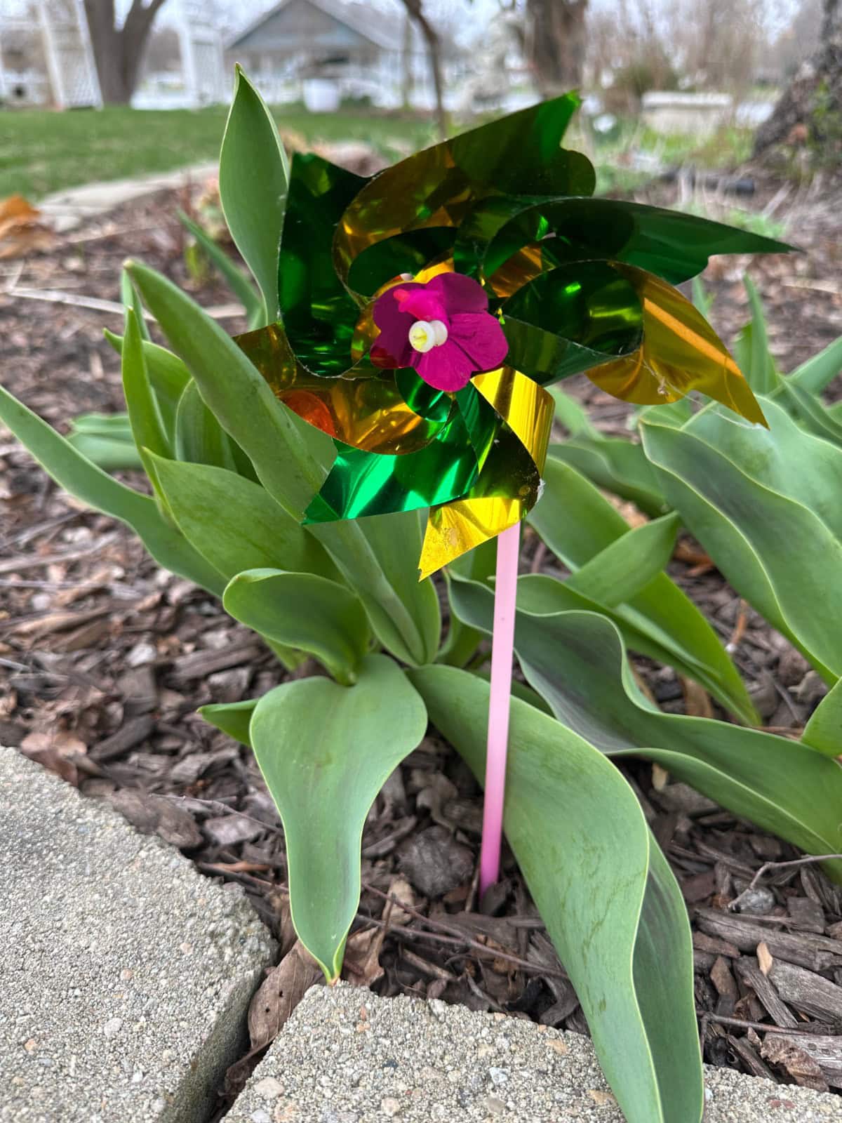A shiny green and gold pinwheel with a pink center is placed among green tulip leaves in a garden bed, next to a stone border—an eye-catching way to help stop deer from eating your plants. In the background are grass, bare trees, and a house.