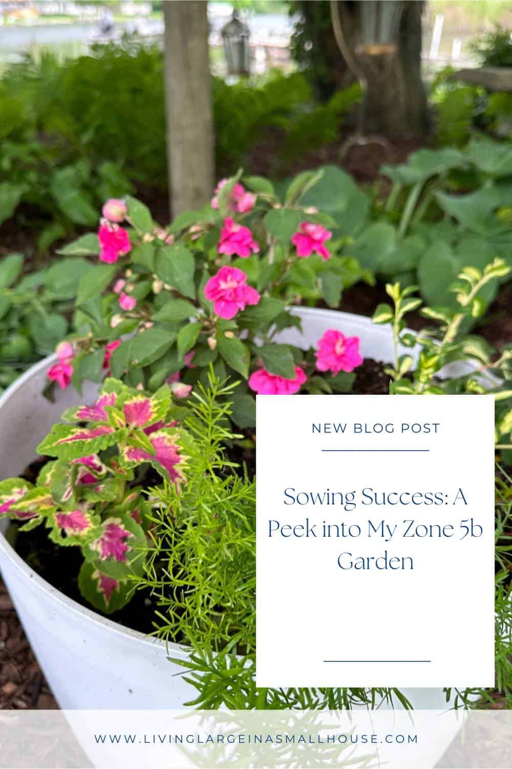 A pinterest pin graphic for my blog post: what I've planted in my zone 5b gardens