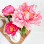photo of three peony blooms captured from overhead.