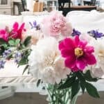 Vase filled with peonie bloom, baptista bush flowers and irises.