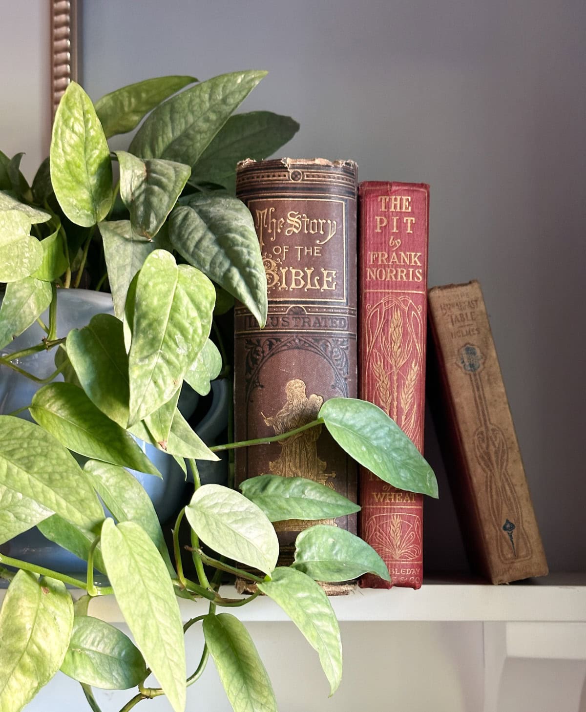 A close-up of a bookshelf with three vintage books and fall decor, featuring a green leafy plant. The books include "The Story of the Bible," "The Pit" by Frank Norris, and another unidentified book. The plant's leaves cascade over the books, adding a touch of nature.