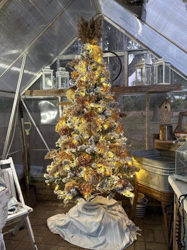 Greenhouse Christmas Tree with Dried Hydrangeas