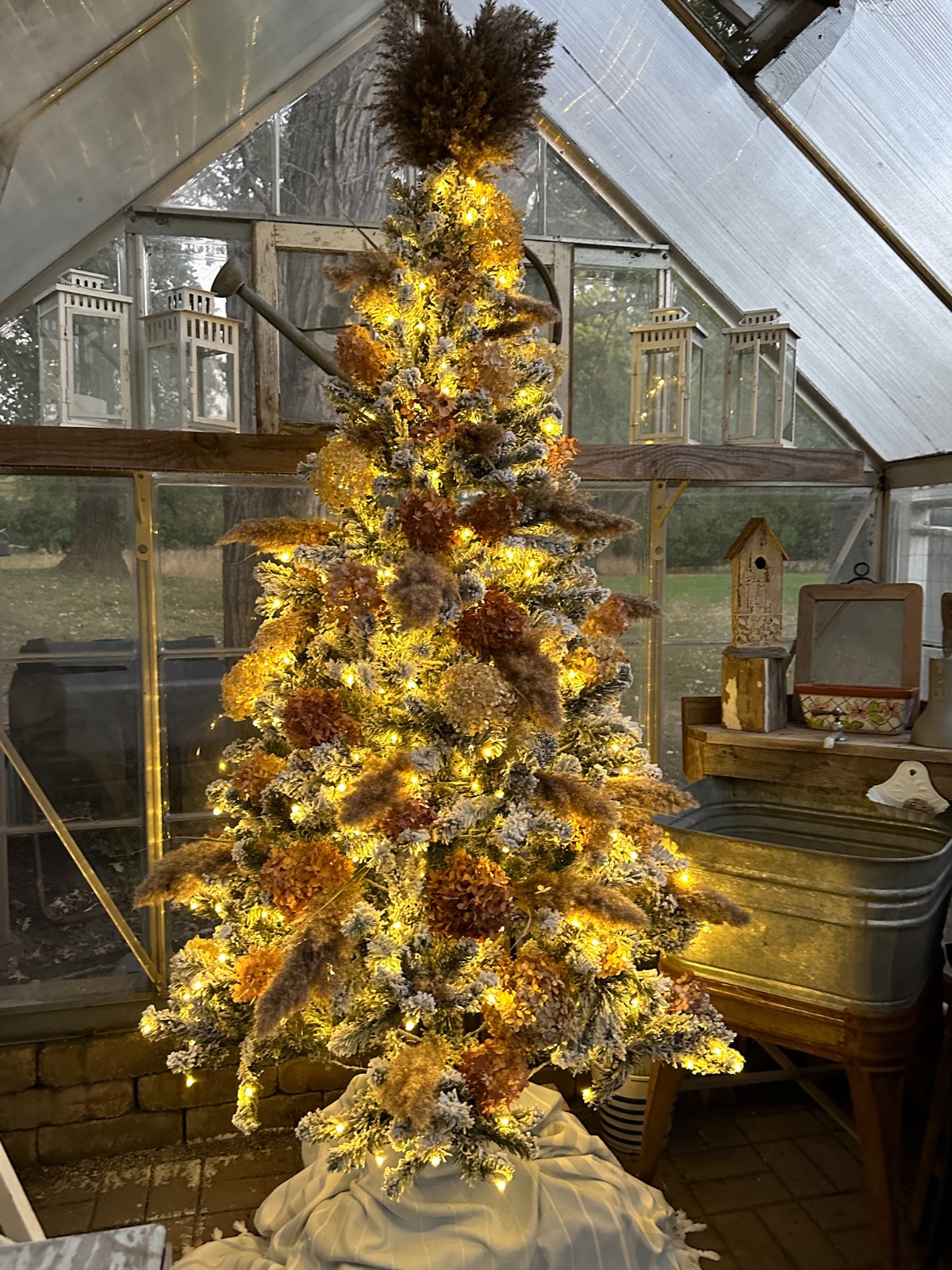 A Christmas tree decorated with warm yellow lights and dried hydrangeas stands inside a greenhouse. The tree is on a white skirt, and vintage garden tools and birdhouses are nearby, creating a rustic atmosphere.