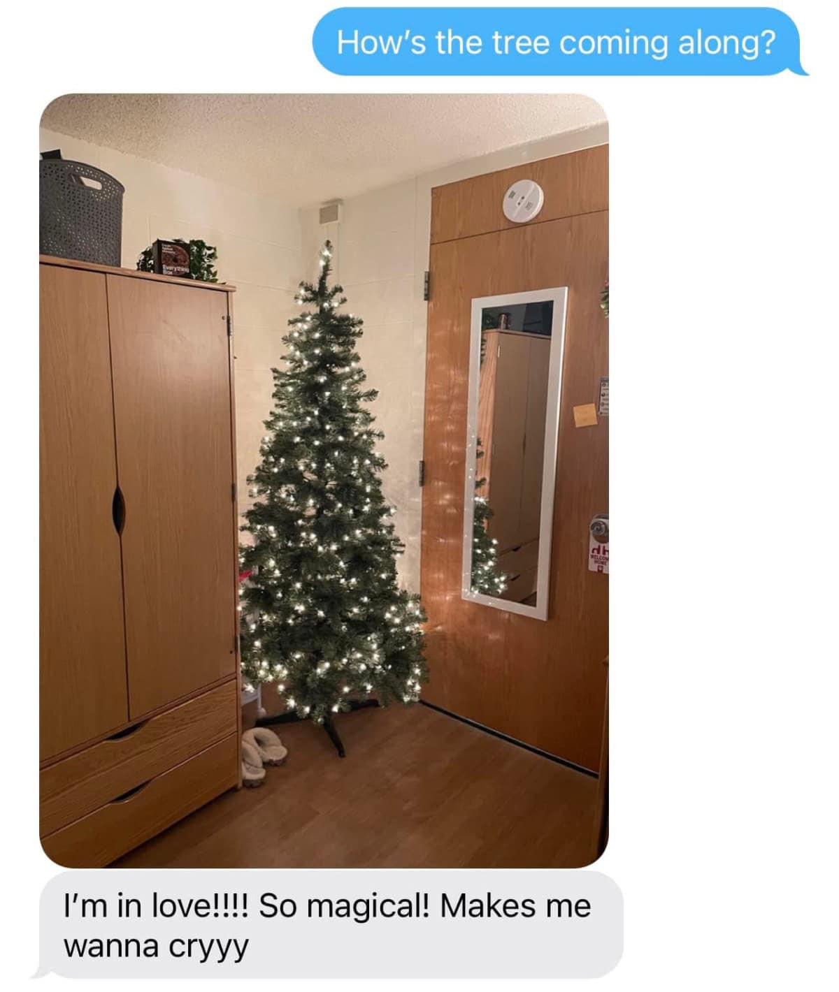 A photo in a text message shows a partially decorated Christmas tree with white lights in a room. A text above asks about the tree, and the response expresses excitement, stating, "I’m in love!!! So magical! Makes me wanna cryyy.