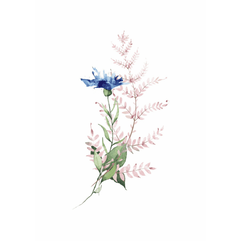A watercolor illustration of a blue flower with green leaves and delicate pink ferns graces a white background. This latest artwork showcases soft, blended colors and a minimalist design.