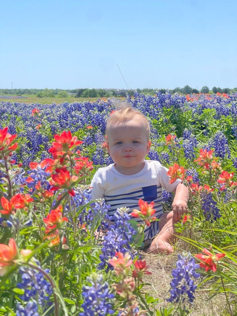 a baby sitting among vibrant red and blue wildflowers in a sunny field, wearing a white and blue outfit, with a clear blue sky and more blossoms in the background.