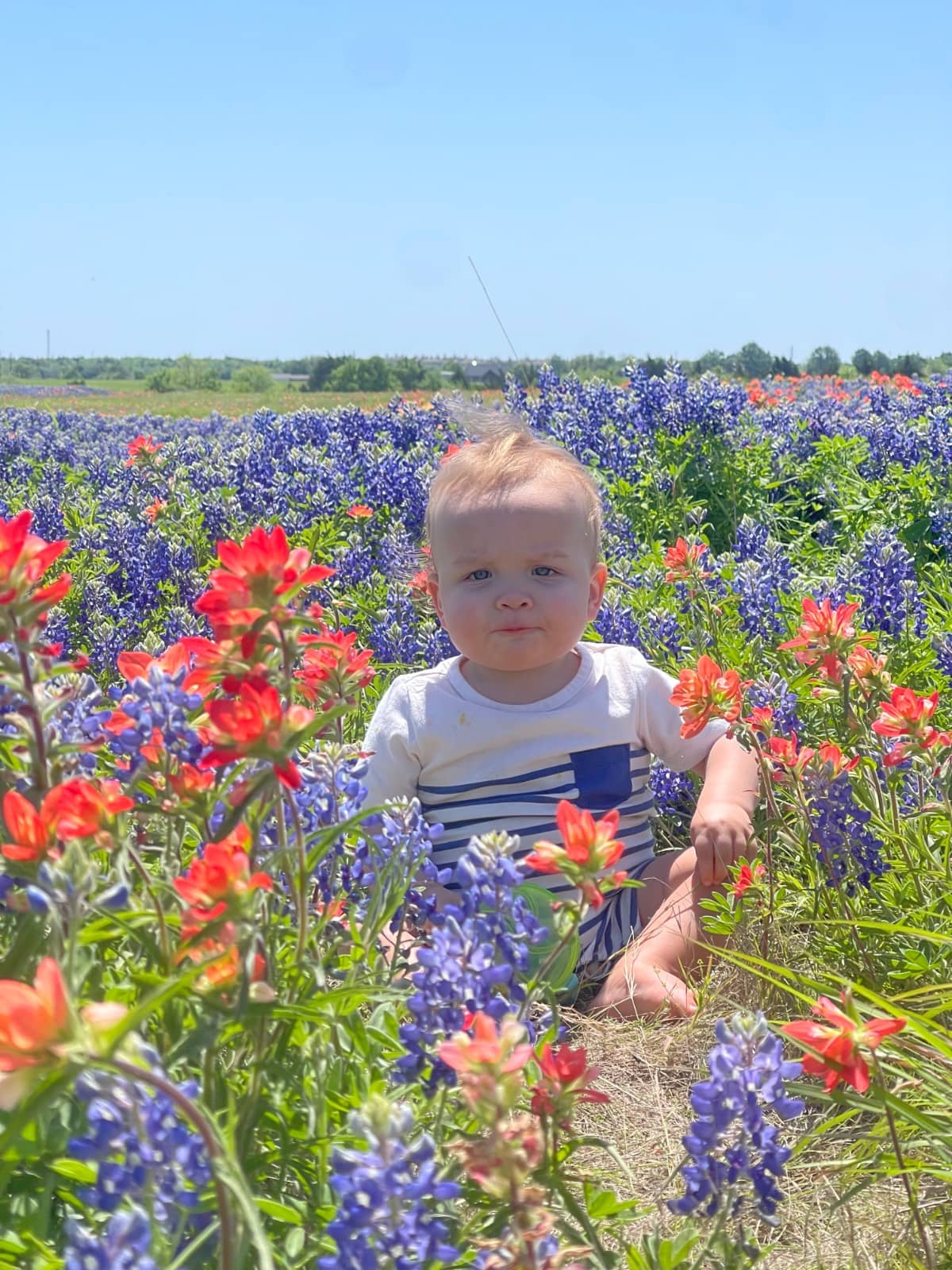 About a baby sitting among vibrant red and blue wildflowers in a sunny field, wearing a white and blue outfit, with a clear blue sky and more blossoms in the background.