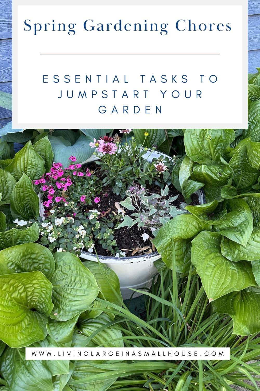 A lush spring garden with large green hosta leaves surrounds a white planter filled with pink and white flowers. Text reads: "Spring Gardening Chores: Essential tasks to jumpstart your garden.