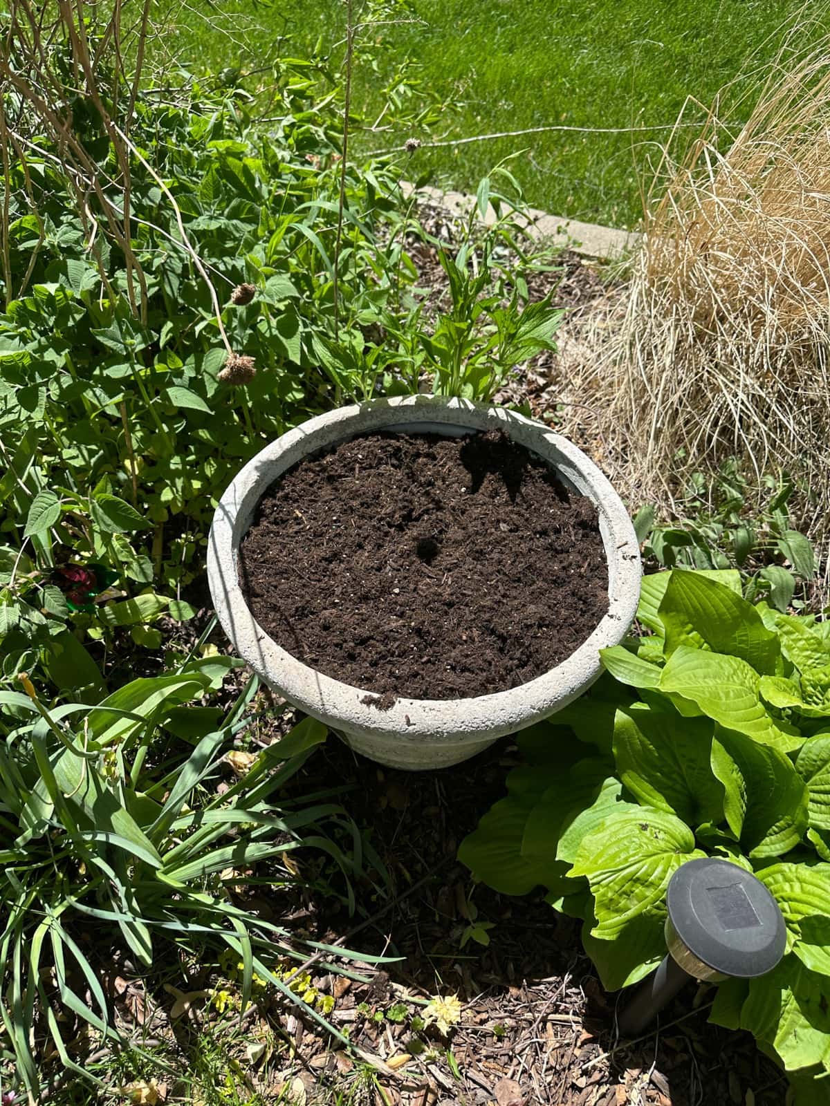 A round, concrete planter filled with dark soil sits in a garden surrounded by green leafy plants, grass, and mulch, with sunlight casting bright shadows.