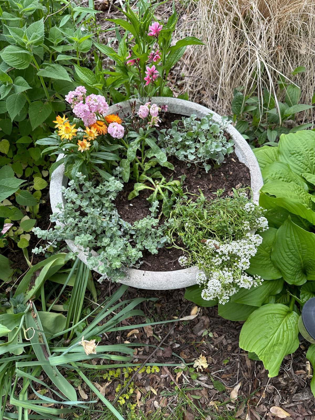 A round stone planter filled with various flowering plants—including pink, yellow, and white blossoms—surrounded by lush foliage and garden plants outdoors, perfect for brightening up your spring gardening chores.