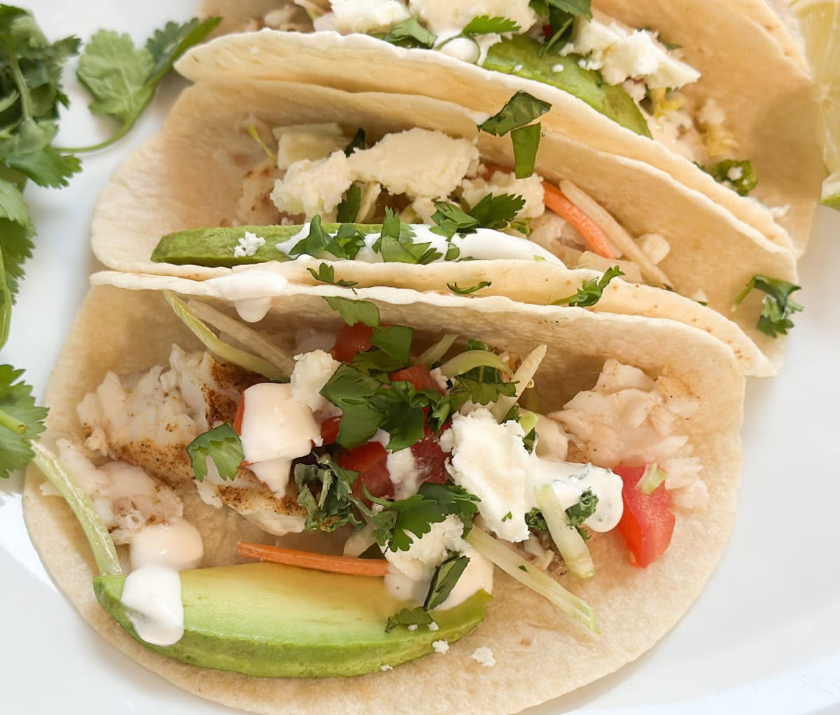 Three soft tacos filled with baked fish, avocado slices, slaw, fresh cilantro, crumbled cheese, and drizzled with spicy cream sauce, served on a white plate with cilantro garnish.