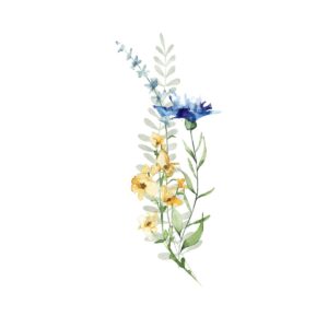 Watercolor illustration of a delicate floral arrangement featuring yellow, blue, and purple wildflowers with green leaves, painted on a white background.