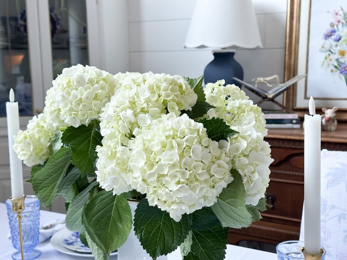 A white flowers in a vase.