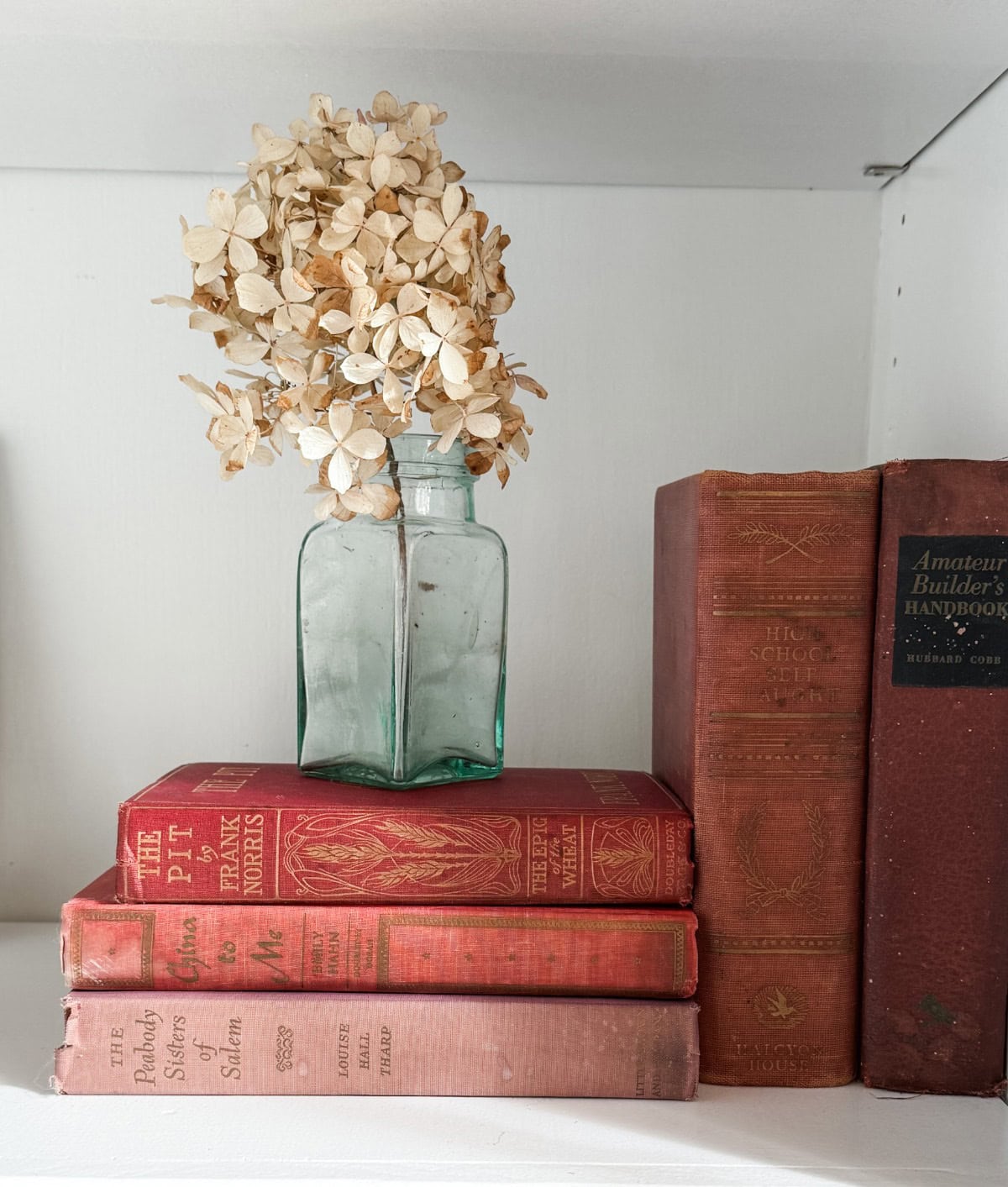 A clear glass bottle with dried hydrangea flowers sits atop a stack of vintage red books on a white shelf, with more old books standing upright beside them.