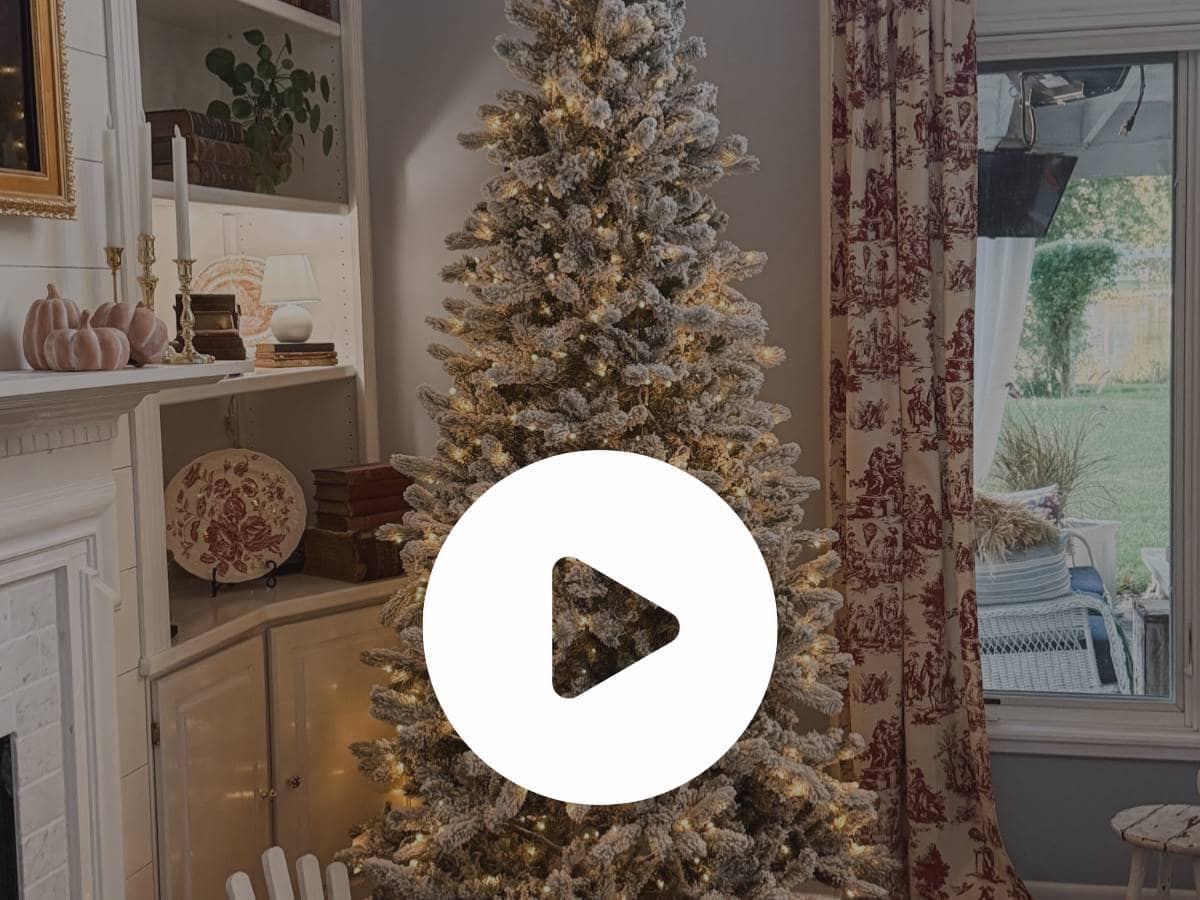 A decorated Christmas tree with white lights stands in a cozy living room near shelves with candles, books, and decorative items. A large window shows a green yard outside.