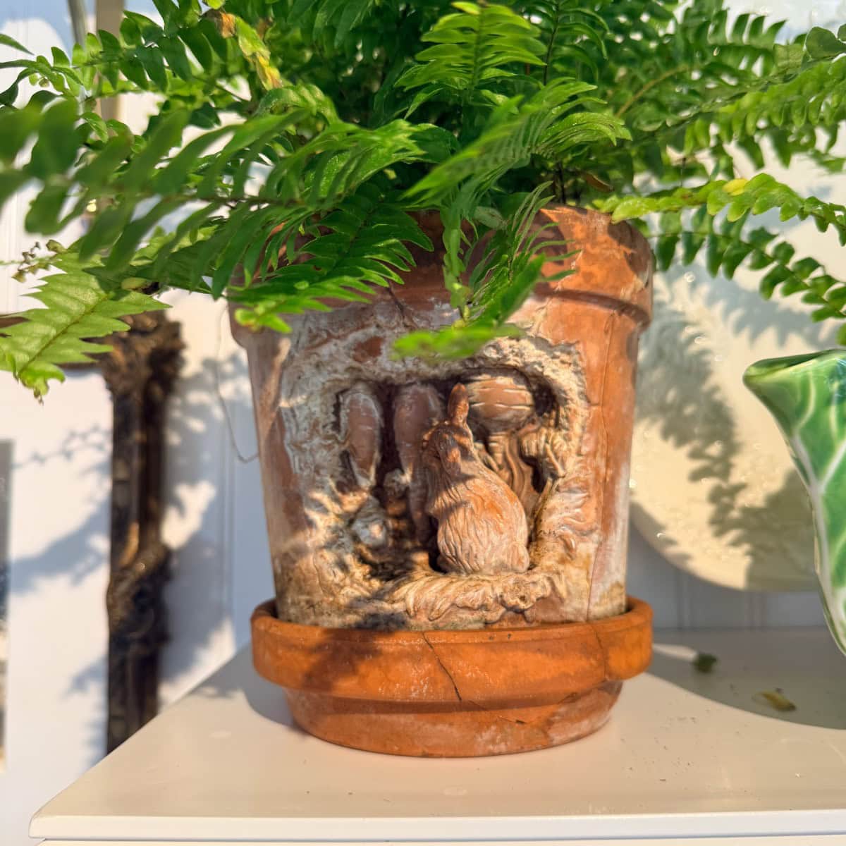 A fern in a terracotta pot featuring a carved rabbit and burrow design, perfect for a Peter Rabbit Tablescape, sits on a matching saucer on a white shelf with sunlight casting soft shadows.