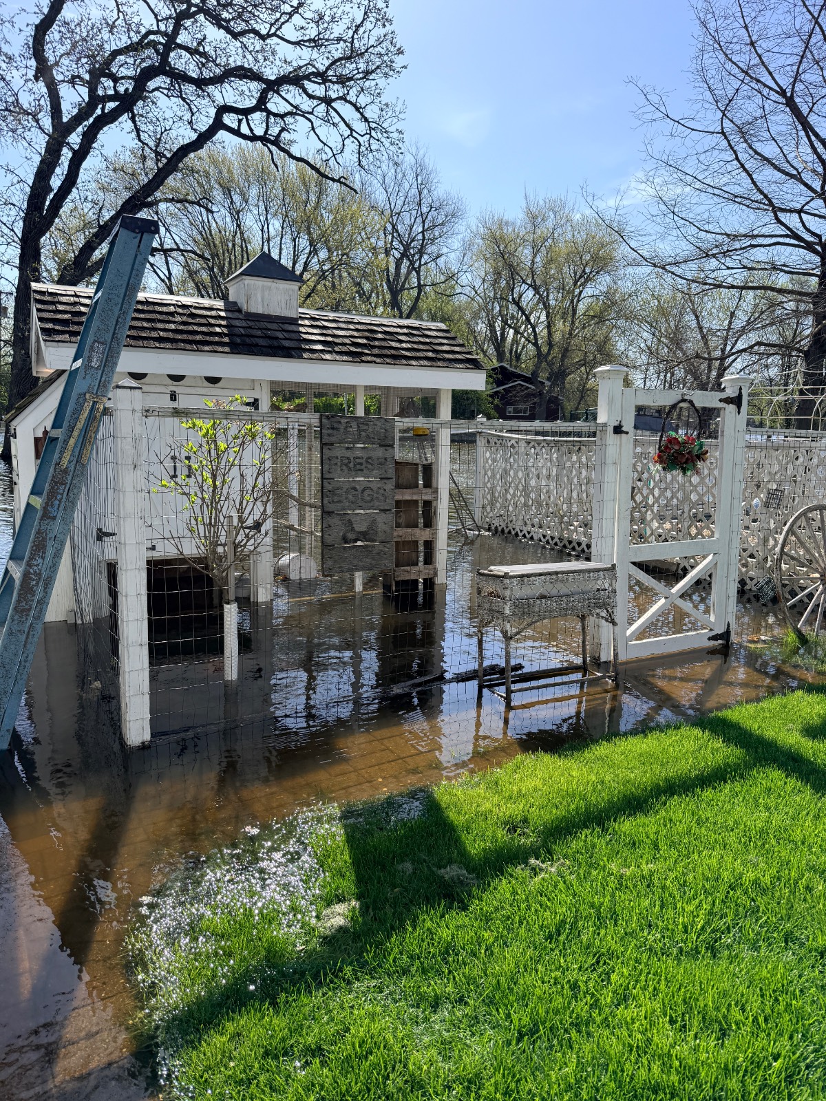 A small white garden shed and fenced area partially submerged in floodwater, with a ladder leaning on the side, a wagon wheel, and a flower basket hanging on the gate. Sunlight shines on the green grass in the foreground after the latest storm.