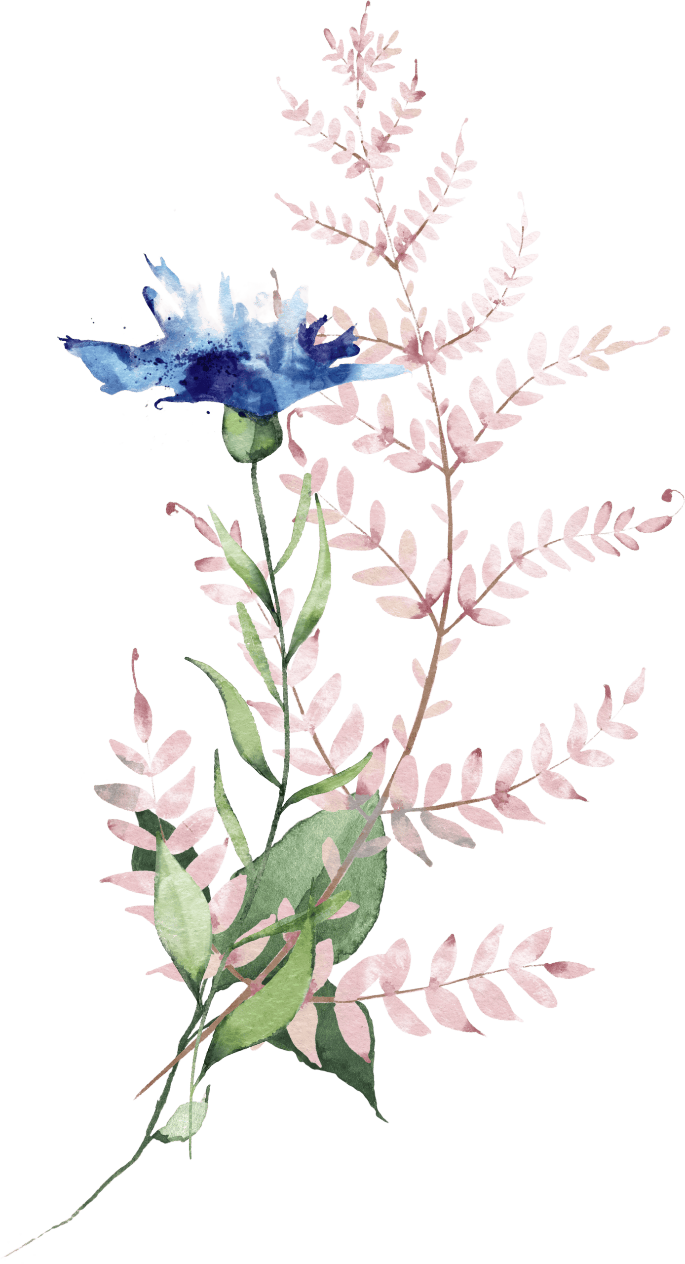 Watercolor illustration of a blue flower with green leaves and soft pink leafy branches in the background.