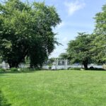 Lush green lawn with large trees and a latest white pergola near a lake under a clear blue sky.