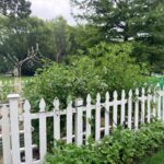 A white picket fence borders a lush, green garden showcasing the latest in beautiful landscape design on a cloudy day.