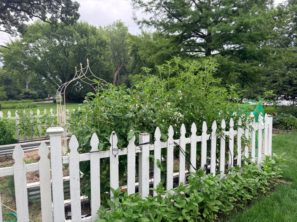 Latest From Living Large: Big Project Week