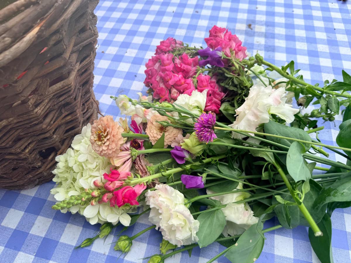 A bunch of assorted flowers lies on a blue checked tablecloth next to a woven basket, adding the latest charm.