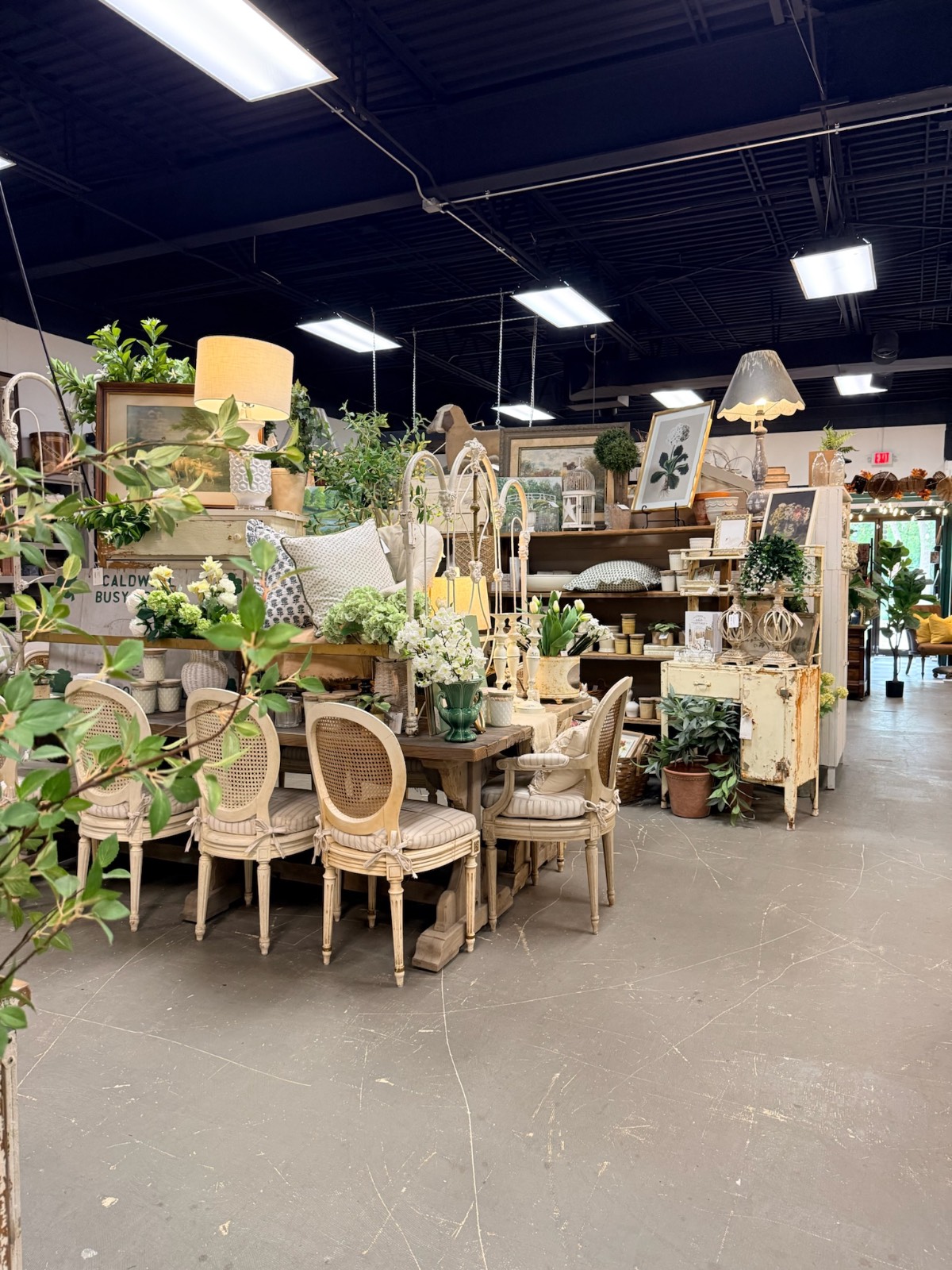 A vintage shop interior with farmhouse furniture, found cottage chairs, indoor plants, decor items, and warm lighting.