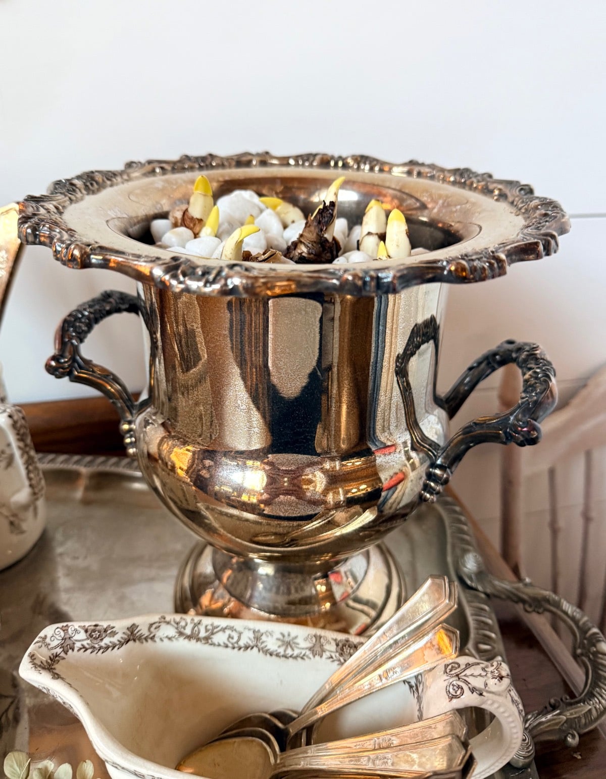 Silver bowl filled with paperwhites, sitting on a tray with a gravy boat and spoons.