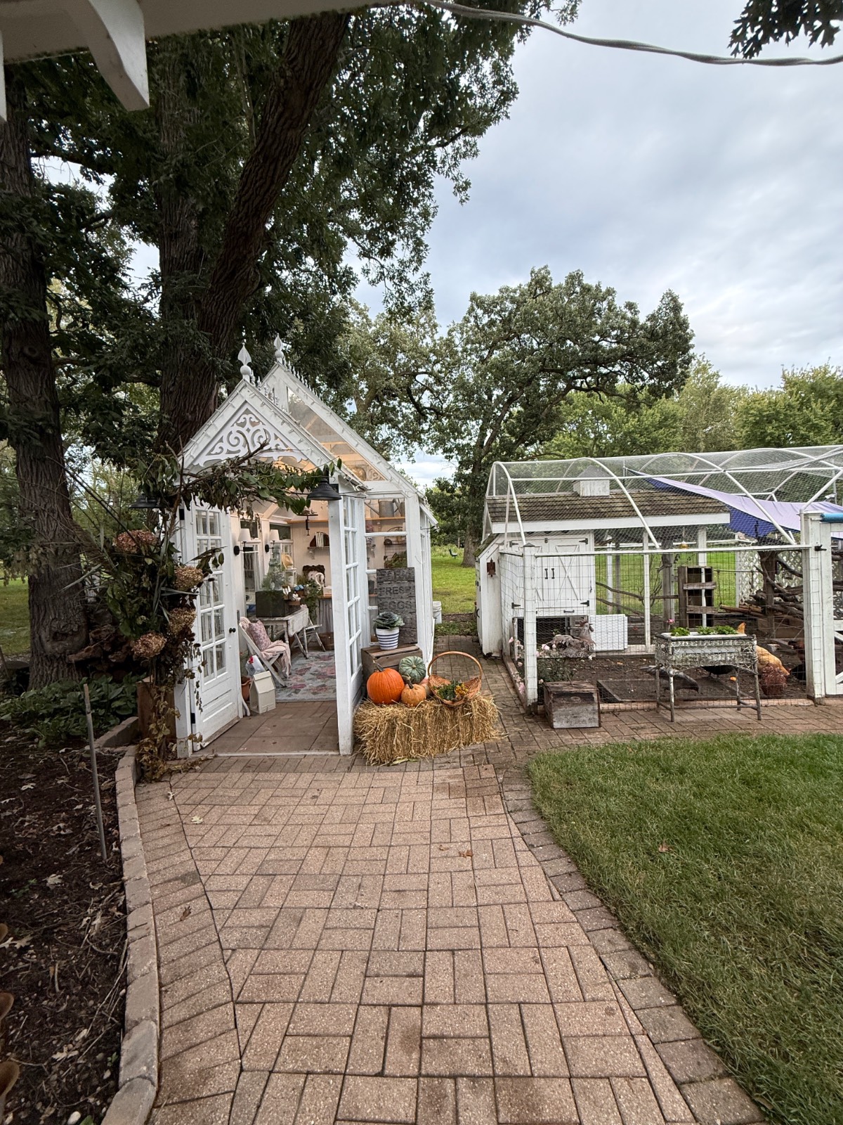 A small glass greenhouse with pumpkins and hay sets the scene for an outdoor fall dinner party beside the garden path.
