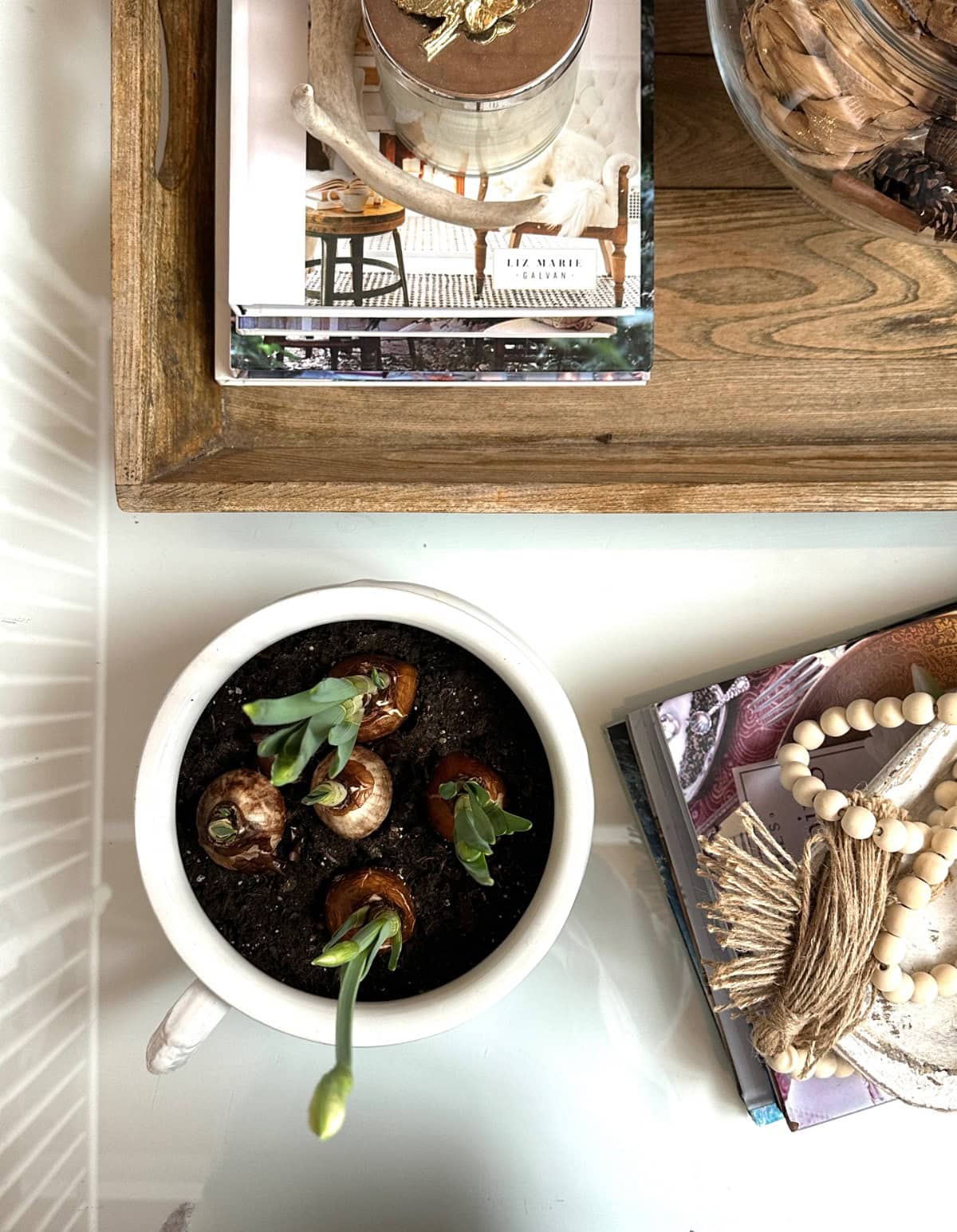 A vintage vessel holds four paperwhites on a white table next to a wooden tray with books and decor.