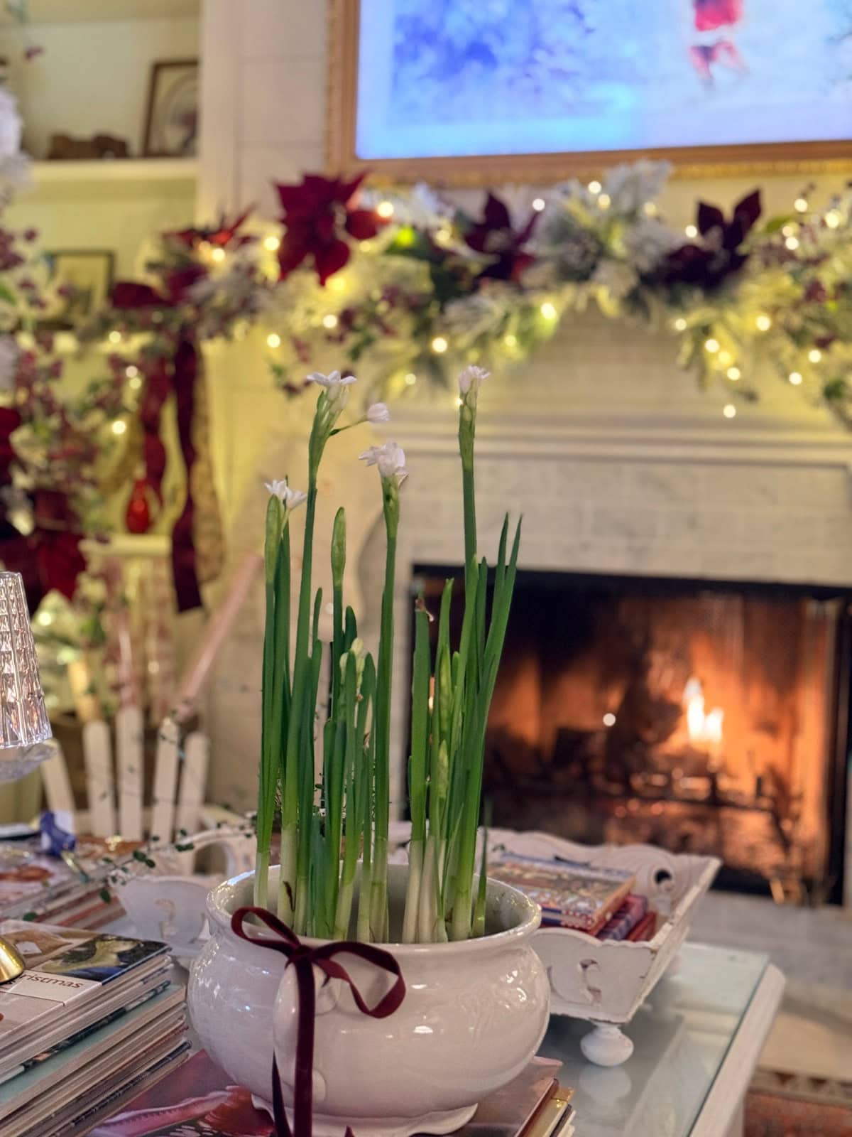 Potted paperwhites on a table in front of a fireplace decorated for Christmas.