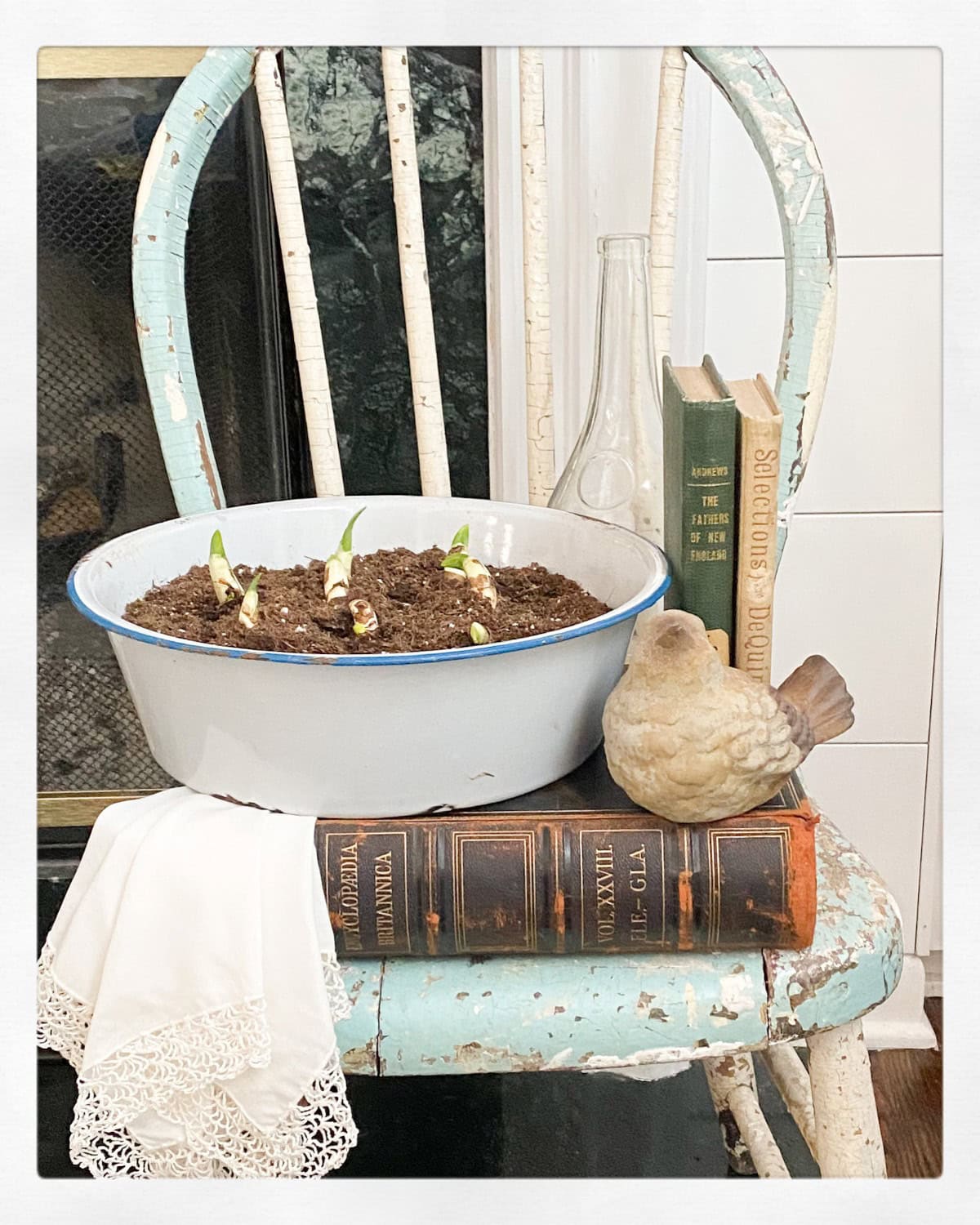 A white enamel bowl with planted bulbs sits on a stack of vintage books on a distressed wooden chair.