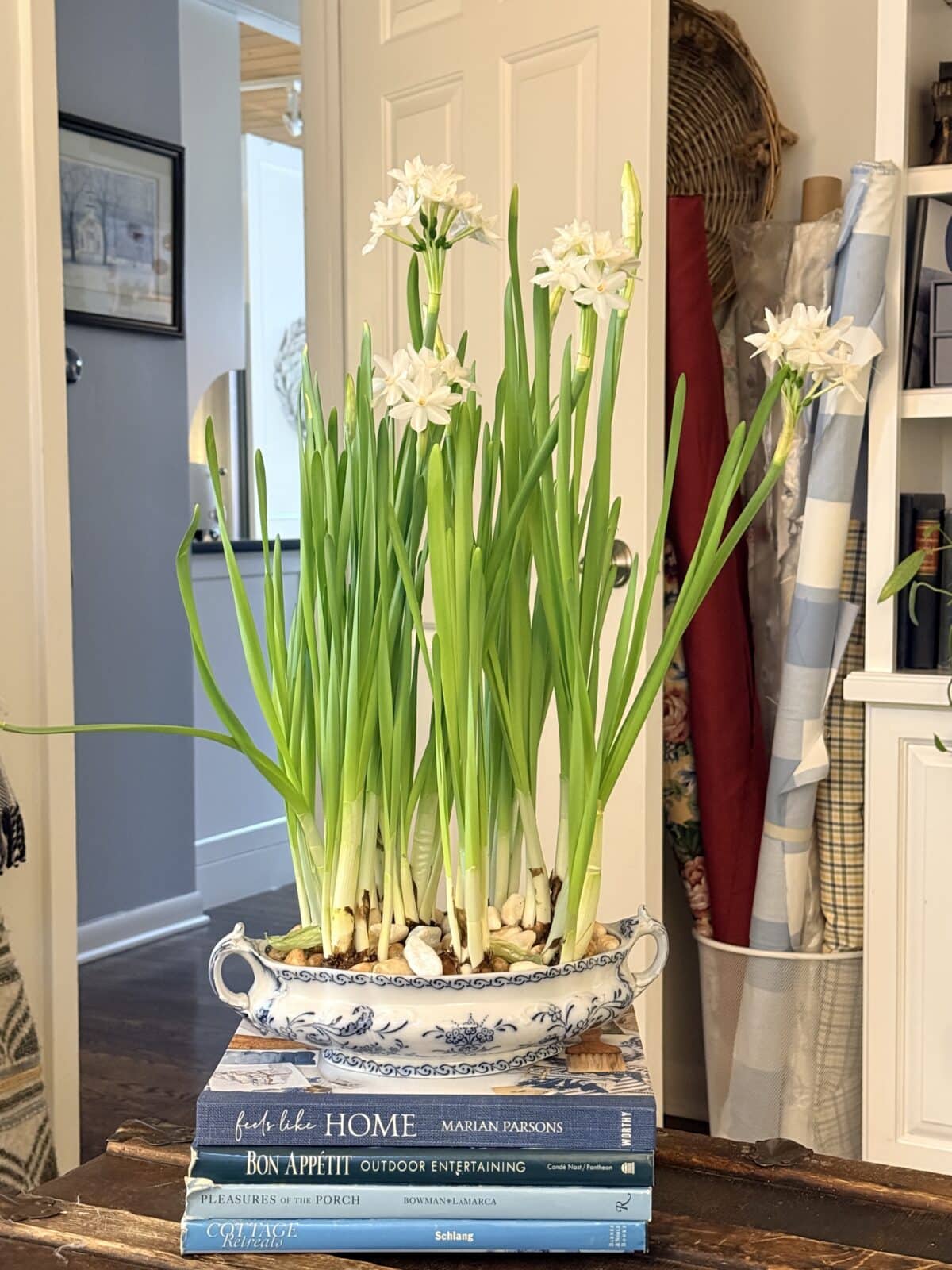 A white Narcissus plant in an ornate blue and white porcelain bowl sitting on a stack of three books.